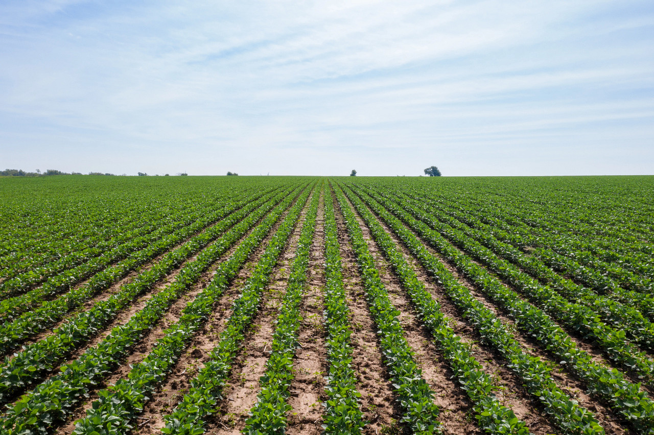 Farm GPS autosteering over soy fields in the Mid-South Farm GPS autosteering over soy fields in the Mid-South